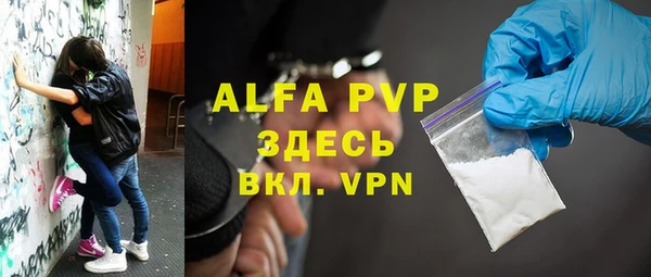 амф Дмитриев