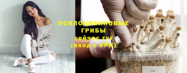 spice Абаза