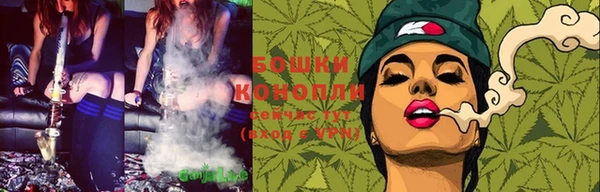 ПСИЛОЦИБИНОВЫЕ ГРИБЫ Остров